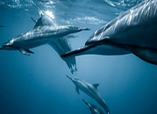 开云体育-徐一璠/杨钊煊直落两盘取胜 晋级澳网女双次轮